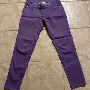 Celebrity Pink Jeans